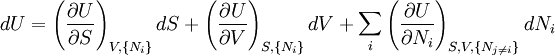 dU= \left(\frac{\partial U}{\partial S}\right)_{V,\{N_i\}}dS+ \left(\frac{\partial U}{\partial V}\right)_{S,\{N_i\}}dV+ \sum_i\left(\frac{\partial U}{\partial N_i}\right)_{S,V,\{N_{j \ne i}\}}dN_i